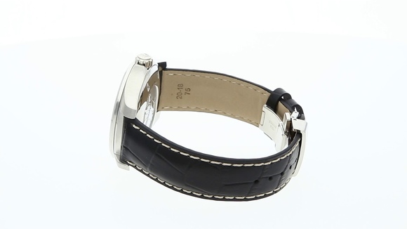 CERTINA C0328511605701