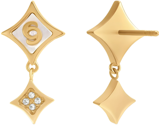 Cerruti серьги CIJE0013301